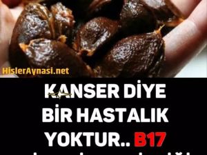 K-ANSER DİYE BİRŞEY YOK, B17 VİTAMİN EKSİKLİĞİ VAR