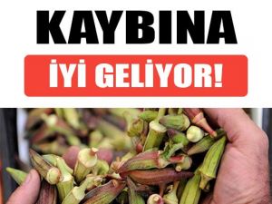 Menisküs ve Diz Ağrılarına Son