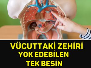 VÜCUDUMUZDAKİ ZEHİRİ YOK EDEBİLEN TEK BESİN.