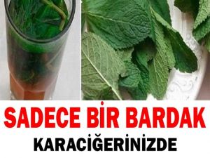Karaciğerinizdeki Yenilenmeyi Hissedin