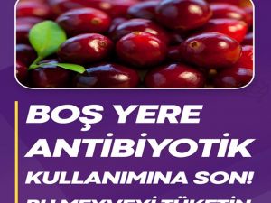 Boş Yere Antibiyotik Kullanımına Son. Bu meyveyi tüketin