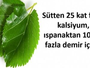 UCUZ ( BEDAVA ) OLDUĞU İÇİN, REKLAMI YAPILMADIĞINDAN BİLİNMİYOR