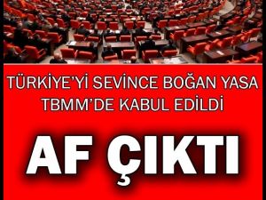 Türkiye'yi sevince boğan karar: Af Çıktı