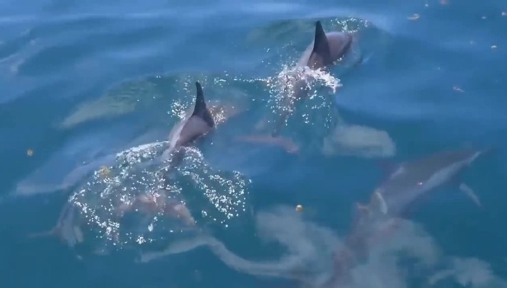 POZ VERMESİNİ İSTEDİ galerisi resim 4