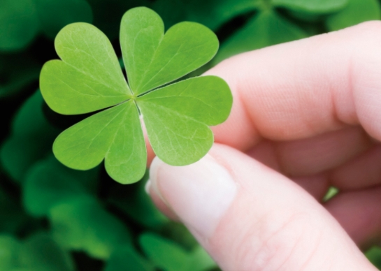 En zeki ve en aptal burçlar belli oldu galerisi resim 7