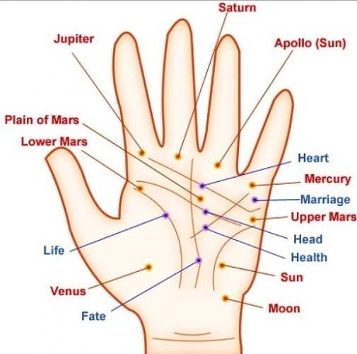 EĞER AVCUNUZUN İÇİNDEKİ ÇİZGİLER 'M' HARFİ OLUŞTURUYORSA...! H galerisi resim 1