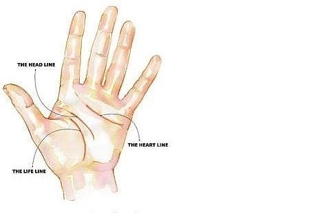 EĞER AVCUNUZUN İÇİNDEKİ ÇİZGİLER 'M' HARFİ OLUŞTURUYORSA...! H galerisi resim 7