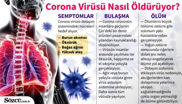 Corona virüsü: Maalesef bugüne dek gelen en korkunç haber galerisi resim 3