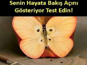 Senin Hayata Bakış Açını Gösteriyor Test Edin!