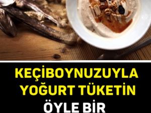 KEÇİBOYNUZUYLA YOĞURT TÜKETİN, ÖYLE BİR FAYDASI VARKİ