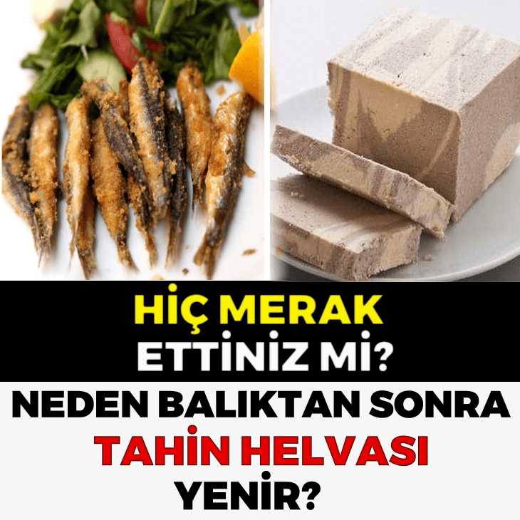 HİÇ MERAK ETTİNİZ Mİ? NEDEN BALIKTAN SONRA TAHİN HELVASI YENİR? galerisi resim 1