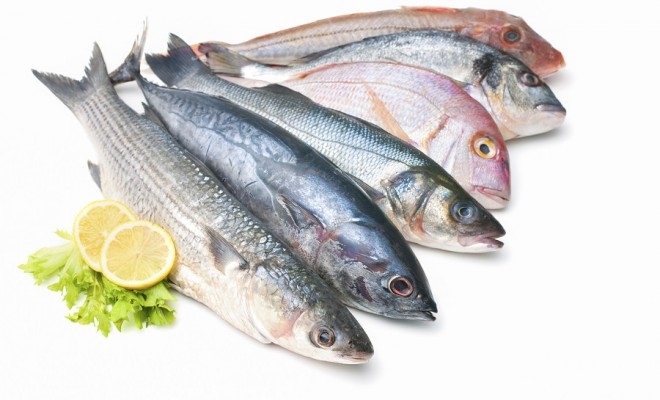 HİÇ MERAK ETTİNİZ Mİ? NEDEN BALIKTAN SONRA TAHİN HELVASI YENİR? galerisi resim 3