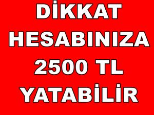 Emekli'ye 2500 TL yatabilir