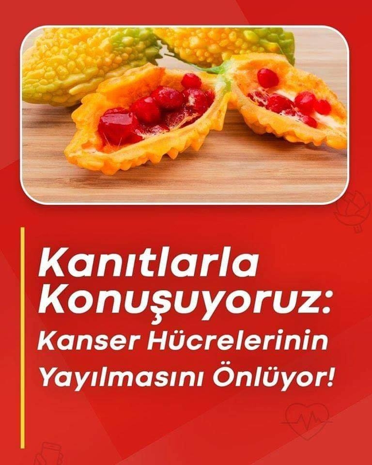 Kanser hücrelerinin dağılmasını önlüyor galerisi resim 1