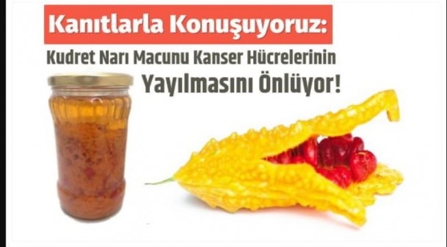 Kanser hücrelerinin dağılmasını önlüyor galerisi resim 4