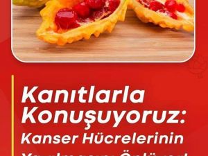 Kanser hücrelerinin dağılmasını önlüyor