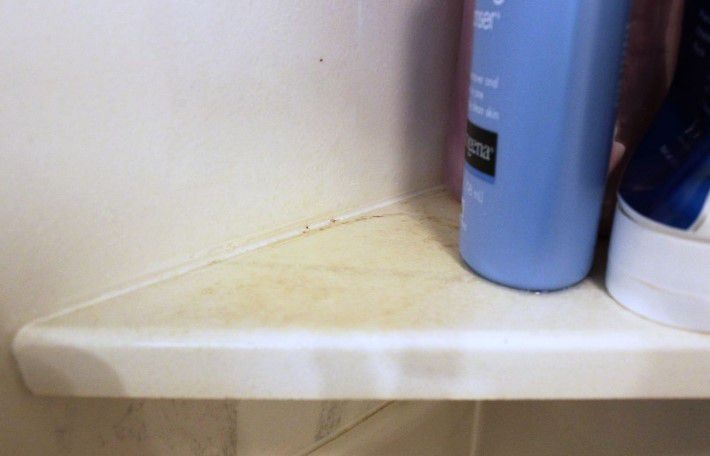 Duşa Kabin Nasıl Temizlenir galerisi resim 3