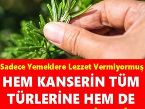 Yemeklerin lezzet sırrı tüm k-anser türlerine karşı kalkan oluyor bunama