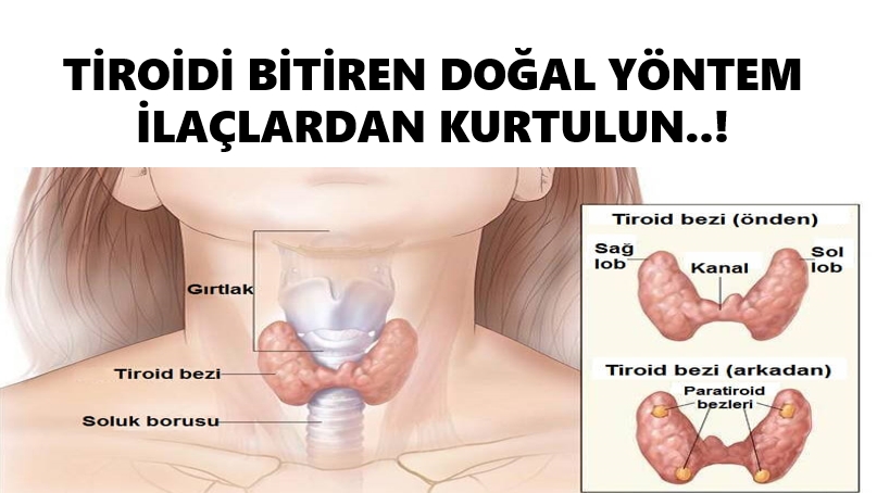Tiroid Problemine Doğal Çare galerisi resim 2