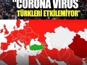 Türkiye'ye Neden Virüs Bulaşmıyor?