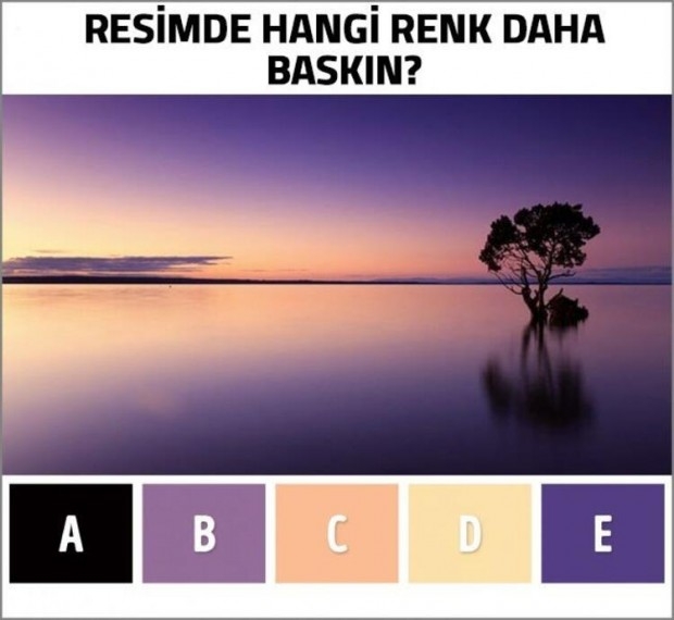 Zihinsel Yaşınızı Ortaya Çıkaracak Bir Renk Testi galerisi resim 2
