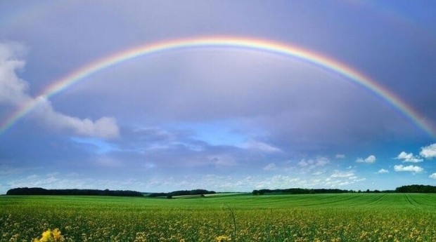 Zihinsel Yaşınızı Ortaya Çıkaracak Bir Renk Testi galerisi resim 21