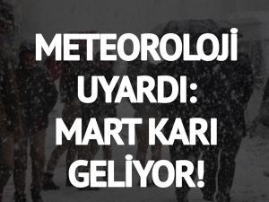 MART KAPIDAN BAKTIRCAK