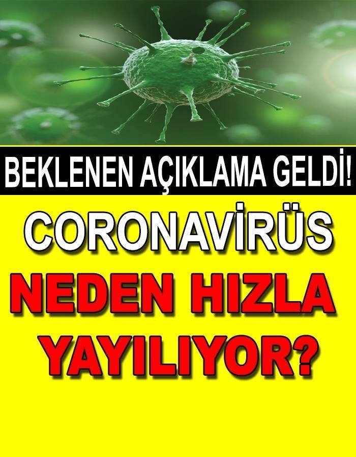 Virüs Neden Hızla Yayılıyor galerisi resim 1