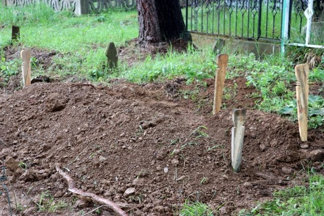 Yü/rekleri Da.ğladı Annesinin Yanına galerisi resim 6