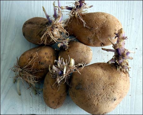 Dikkat! Muz kabuğunu cildinize sürerseniz