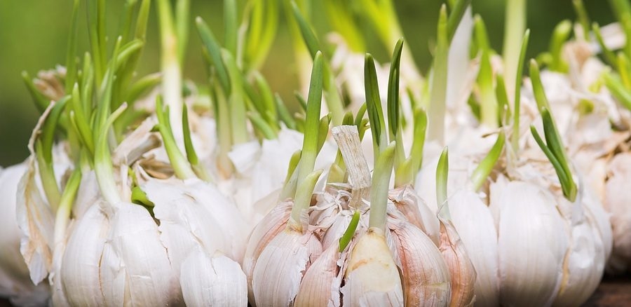 SAKIN ÇÖPE ATMAYIN galerisi resim 1