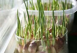 SAKIN ÇÖPE ATMAYIN galerisi resim 2