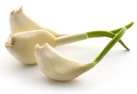 SAKIN ÇÖPE ATMAYIN galerisi resim 4