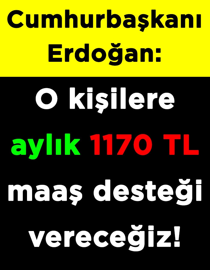 Cumhurbaşkanı Erdoğan: O kişilere aylık 1170 TL maaş desteği vereceğiz galerisi resim 1