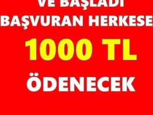 E-Devletten Başvuru Nasıl Yapılacak?