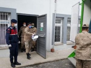 FINDIK BAHÇESİNE GOMDU