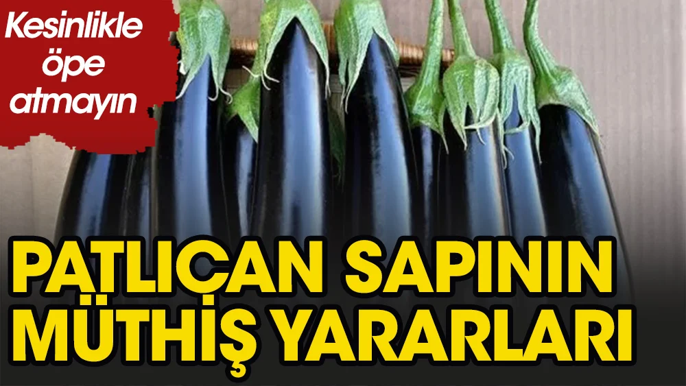 PATLICAN SAPINI SAKIN ATMAYIN! galerisi resim 1