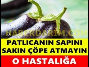 PATLICAN SAPINI SAKIN ATMAYIN!