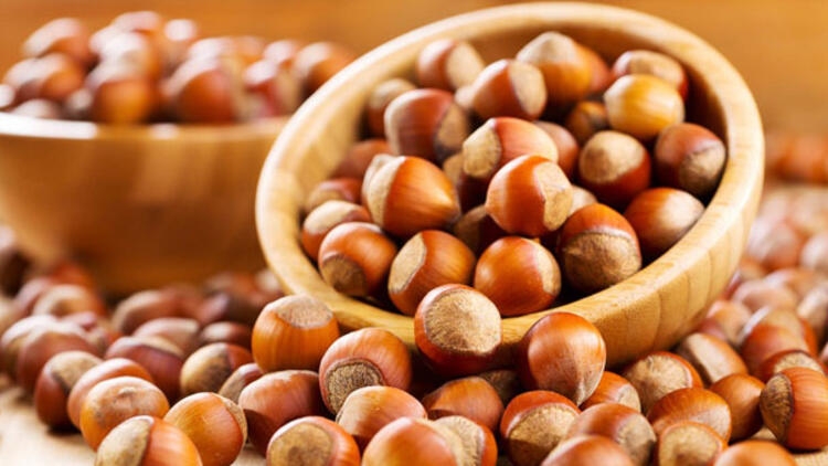 Fındık Fabrikasında Koronavirüs Şoku; galerisi resim 4