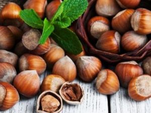 Fındık Fabrikasında Koronavirüs Şoku;