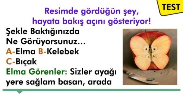 Resimde İlk Fark Ettiğin Şey, Senin Hayata Bakış Açını Gösteriyor Test E galerisi resim 2