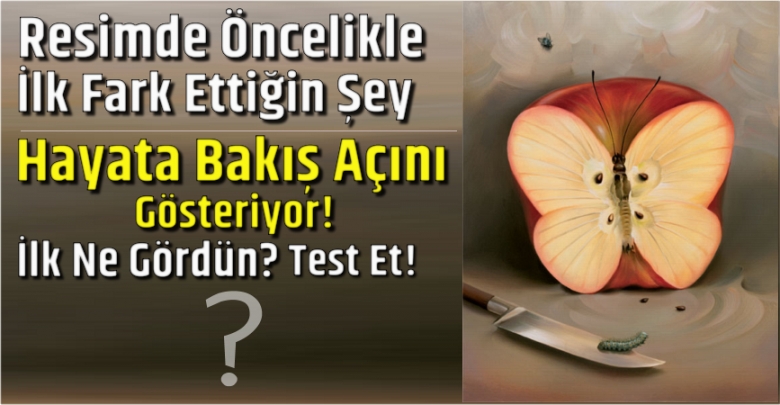 Resimde İlk Fark Ettiğin Şey, Senin Hayata Bakış Açını Gösteriyor Test E galerisi resim 4