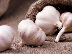 Her Gün Aç Karnına Sarımsak Yedi, Bakın Ne Oldu!