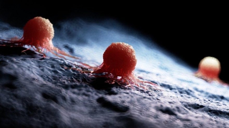 İkinci Dalga Geldi Vaka Sayıları Arttı galerisi resim 5