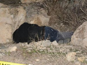 Ünlü Sanatçı Kayalıkların Dibinde