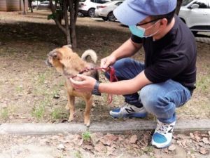 HASTANENİN KAPISINDA 3 AYDIR BÖYLE BEKLİYOR