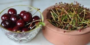 Sapını Koparıp Bir Kenara Atmayın