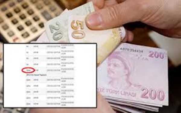 Hizmet Dökümünde Bu Harf Varsa Emekliliğiniz İptal Olabilir galerisi resim 1