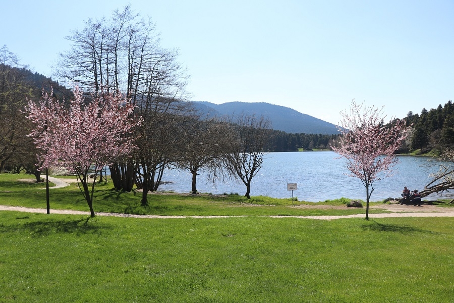 ARTIK BURAYA İZİNLE GİRİLECEK galerisi resim 5