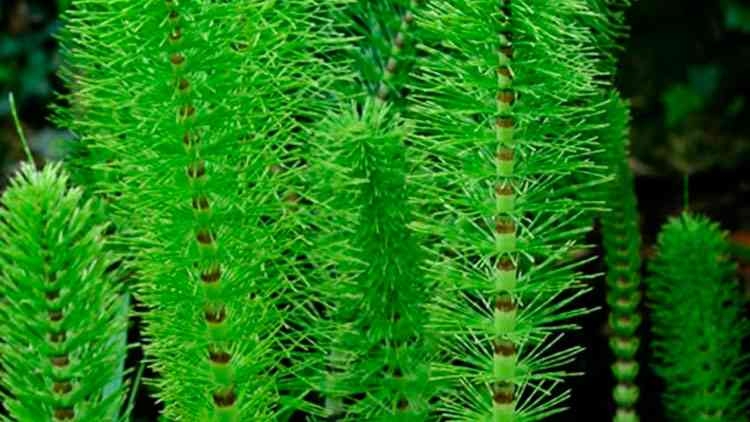 Mutlaka Tüketmelisiniz devamı galerisi resim 4